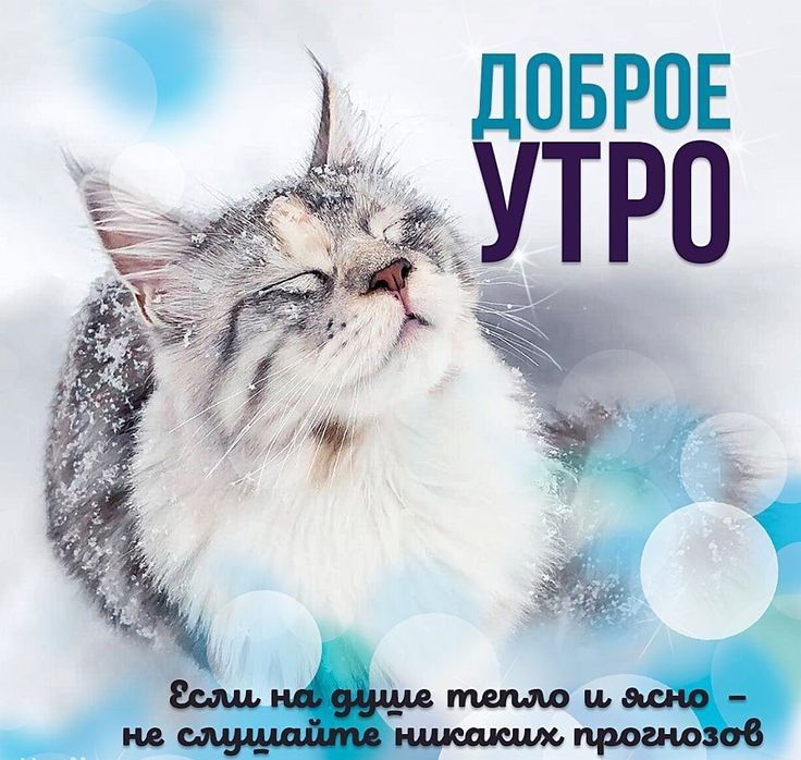 ЛОБРОЕ