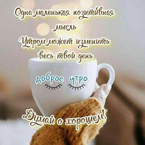 Озишыщшнькщс позитйёшя мысль тршмшішй еиить Ёесь 501 9