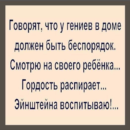 Говорят что у гениев вдоме должен быть беспорядок Смотрю на своего ребёнка Гордость распирает Эйнштейна воспитываю