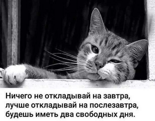 Ничего не откладывай на завтра лучше откладывай на послезавтра будешь иметь два свободных дня