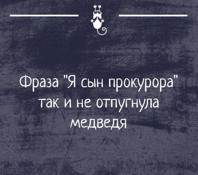 ______ Фраза Я сын прокурора так и не отпугнула МЕДВЕДЯ
