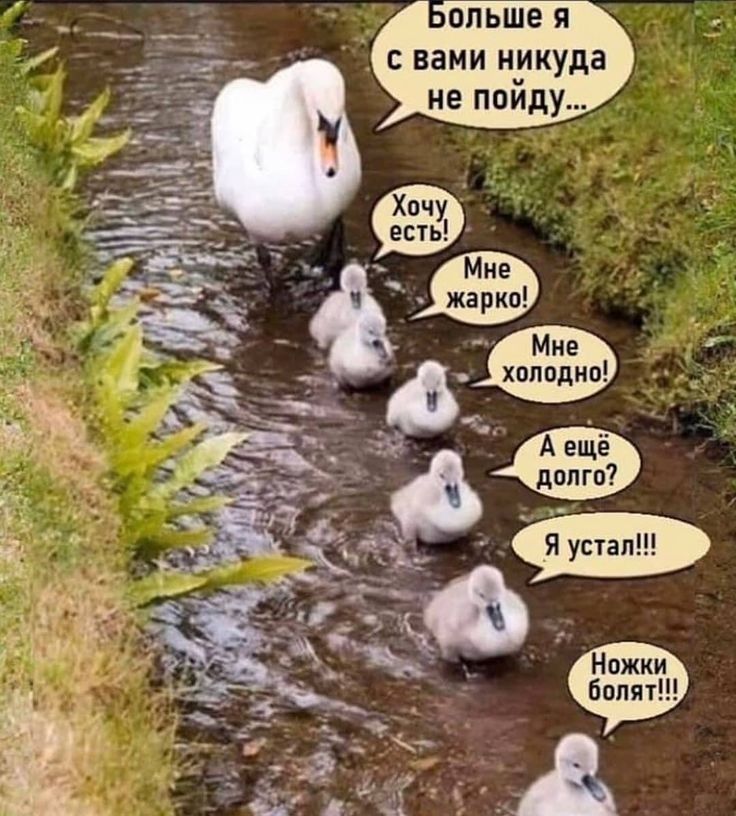 с вами никуда не поиду