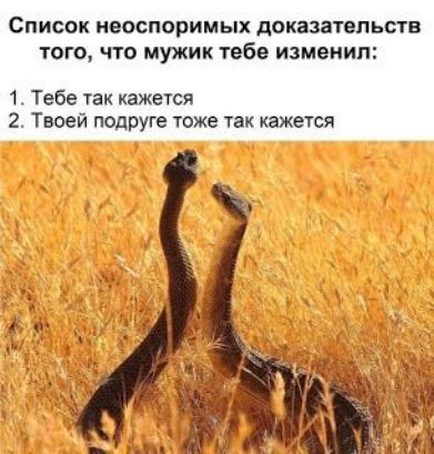 Список неоспоримых доказатапьпв того что мужик тебе изменил 1 Тебе так кажется 2 Твоей подруге тоже так кажется