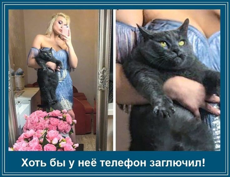 Хоть бы у неё телефон заглючип