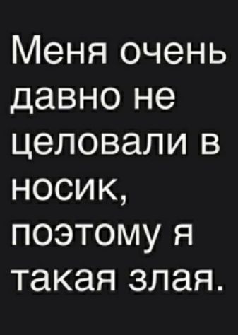 Меня очень давно не целовали в носик поэтому я такая злая