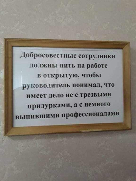 Добросовсс гные сотрудники пижмы пить на работе в гкрытую чтобы р ково_1итель понимал что имеет дело не с трезвыми придурками с немного ВЫ П ВШНМ и профессионалами