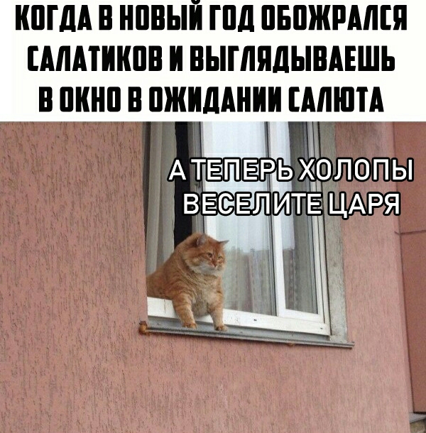 ШГДА В НПВЫЙ ПШ ПБПЖРАЛЕЯ АМТШШП И БЫГЛЯДЫВАЕШЬ В ПК В ПЖИДАНИИ МНПА