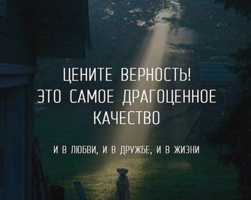 Цените в это самое кач и в любви, и ое, и в жизни