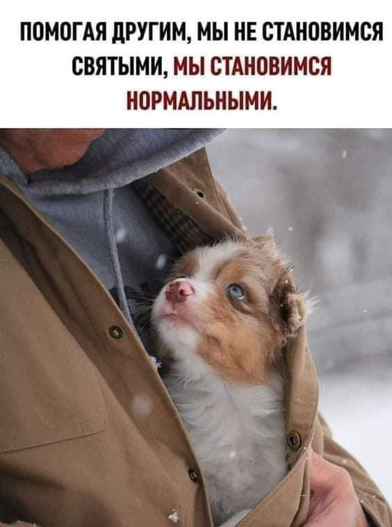 ППМШАЯ дРУГИМ МЫ НЕ СТАНОВИМБЯ СВЯТЫНИ МЫ СТАНОВИМСЯ Н0РМАЛЬНЫМИ