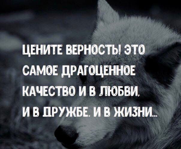 ЦЕНИТЕ ВЕРНОСТЫ ЭТО САМОЕ дРАГОЦЕННОЕ КАЧЕСТВО И В ЛЮБВИ И В ПРУЖБЕ И В ЖИЗНИ