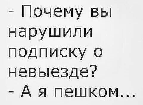 Почему вы нарушили подписку о невыезде А я пешком