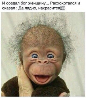 и создал бог женщину Расхохотался и сказал да ладно накраситсщпп