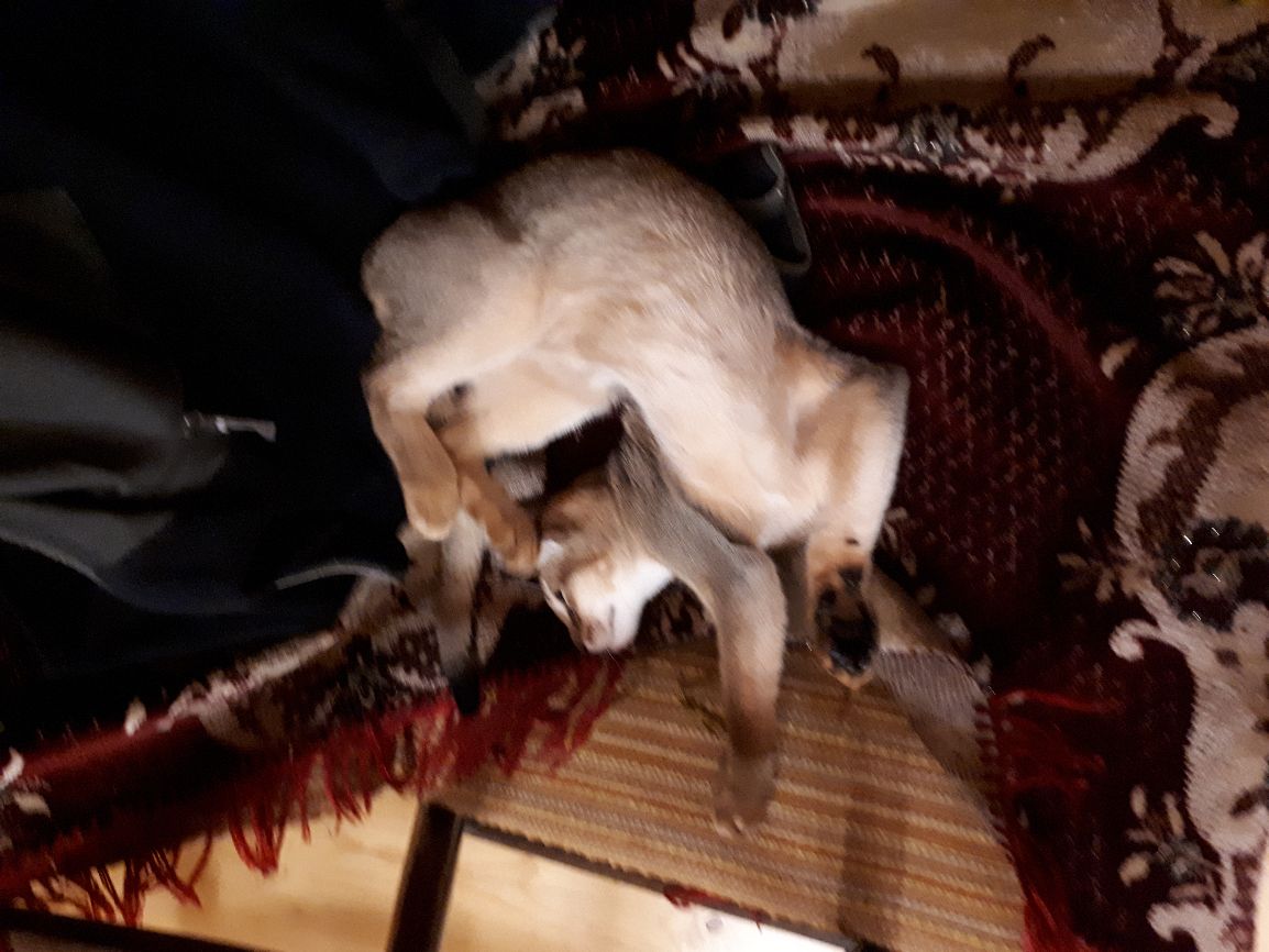 д 33 М хзшзчдьщдъ