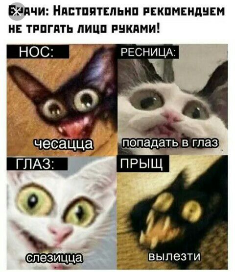 БЕПЧИ НПЕТППТЕЛЬНП РЕКПМЕНДЦЕМ НЕ ТРПГПТЬ ПИЦП РНКПМИ