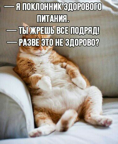 н поклонник здовпвцгш