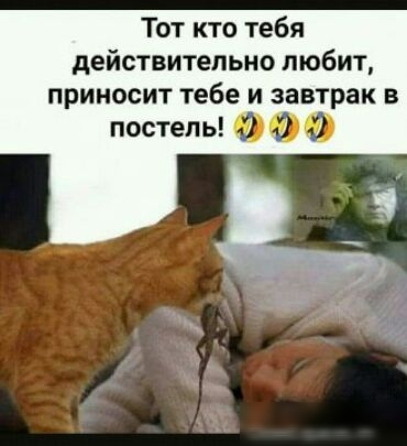 Тот кто тебя действительно любит приносит тебе и завтрак в постель О