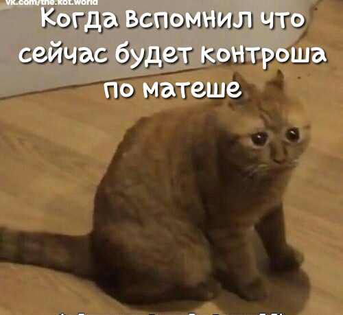Кэгдзх эзгшмзшл ьггг сайта будз г г ша По матеше