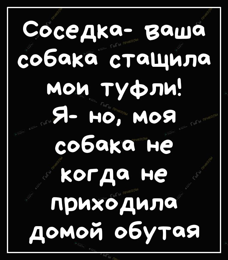 Соседко вошо собака стащила мои туфли Я но моя собака не когда не приходило домой обутоя