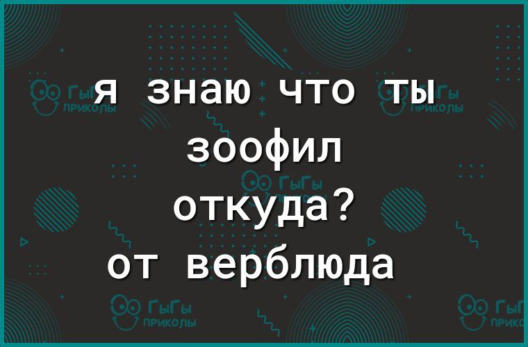 я знаю что ты зоофил откуда от верблюда