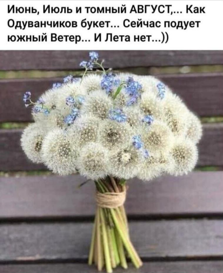 Июнь Июль и томный АВГУСТ Как Одуванчиков букет Сейчас подует южный Ветер И Лета нет