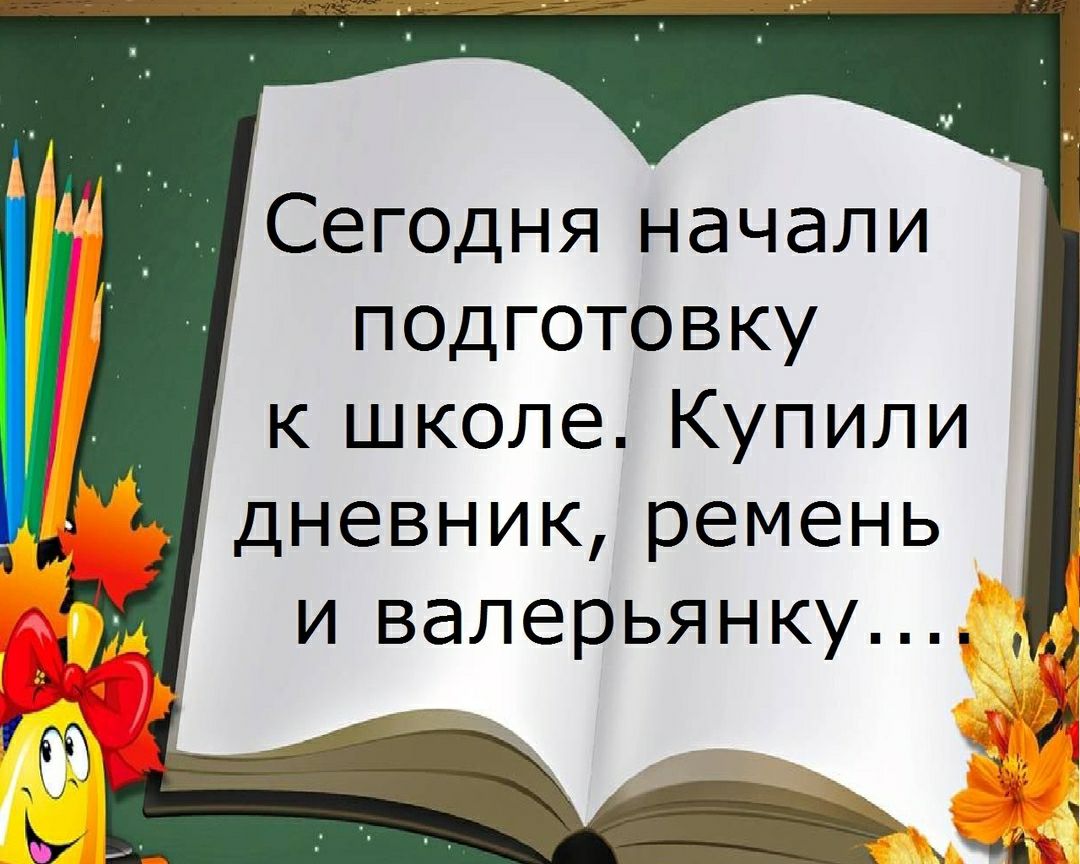 Сегодня начали подготовку к школе Купили дневник ремень и валерьянку 3 ч