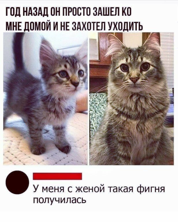 ГПД НАЗАД ПН ПРОСТО ЗАШЕЛ КО МНЕ ЛПМОЙ И НЕ ЗАХОТЕЛ УХПДИТЬ У меня с женой такая фигня ПОЛУЧ ИЛ ась