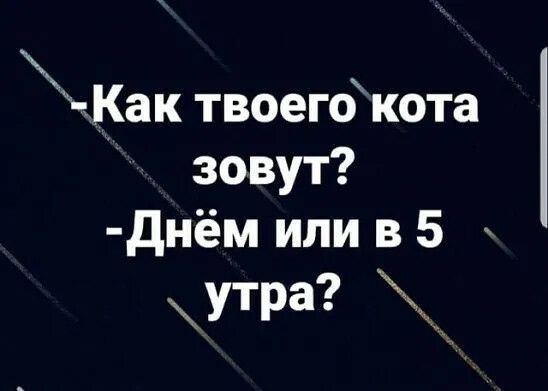 чКак твоего кота зовут днём или в 5 УТРЗ