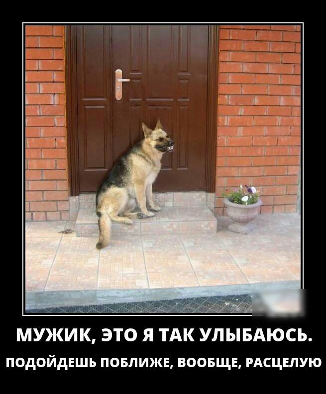МУЖИК ЭТО Я ТАК УЛ Ы БАЮСЪ подойдешь повлижв воовщв РАСЦЕЛУЮ