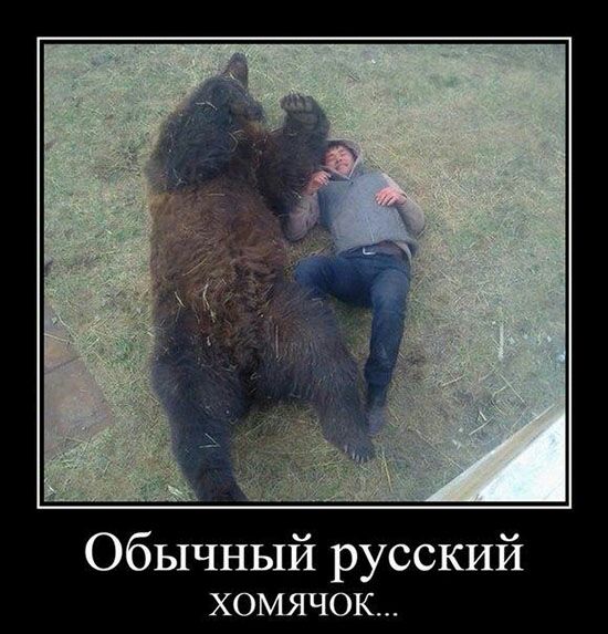 Обычный русский ХОМЯЧОК