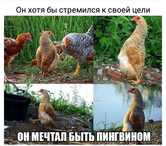 Он хотя бы стремился к своей цели