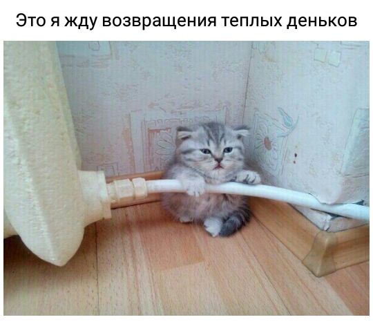 ЭТО Я ЖДУ возвращения теплых деньков
