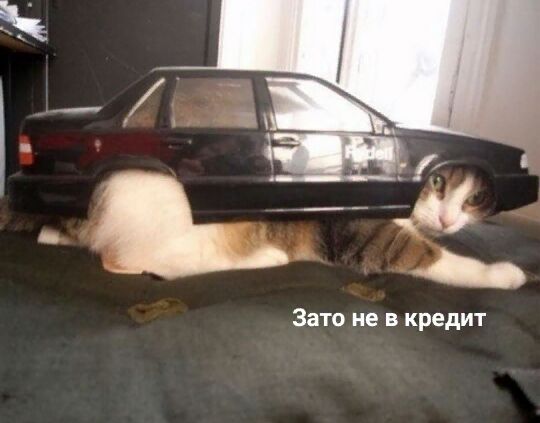 Зато не в кредит