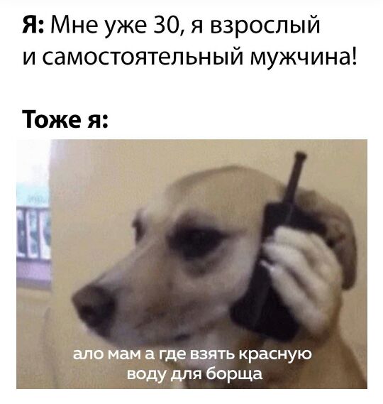 Я Мне уже 30 я взрослый и самостоятельный мужчина Тоже я ам а где взять красную воду для борща