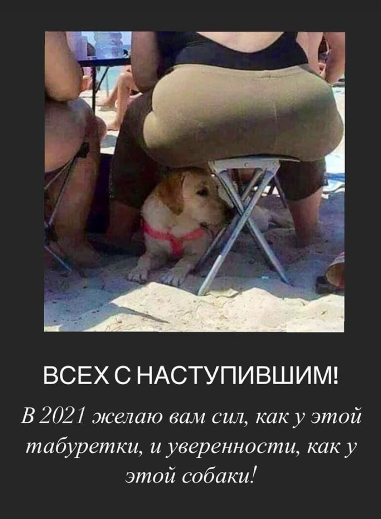 ВСЕХ С НАСТУПИВШИМ 8202 желаю вам сил как у этой табуретки и уверенности как у этой собаки