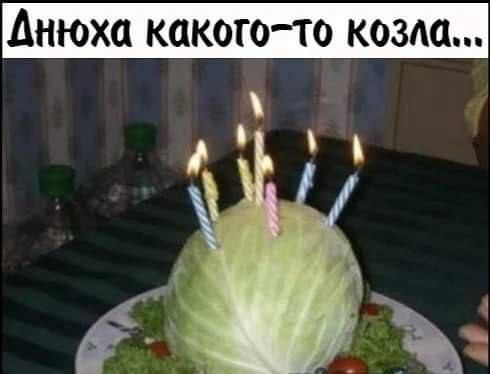 ДНЮХО КОКОГОТО КОЗАЦ