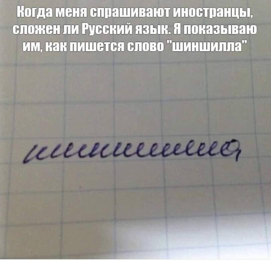 Мда меня БШШШИВЗЮТ ИНШЁТПЗНЦЫ сложен ЛИ РУССКИЙ ЯЗЫК ПШЮЗЫВЗЮ ИМ как ПИШВПЁЯ 011080 шиншилла е_