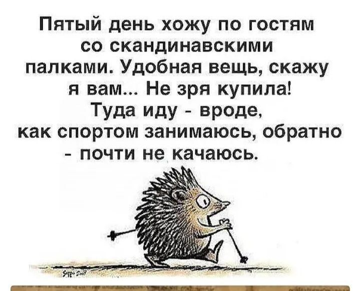 ПЯТЫЙ день хожу ПО ГОСТЯМ СО скандинавскими палками Удобная вещь скажу я вам Не зря купила ТУда иду вреде как спортом занимаюсь обратно ПОЧТИ не качаюсь