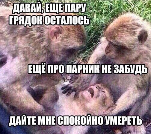 дАИТЕ МИЕ ЁПШЮИШі УМЕРЧЪ