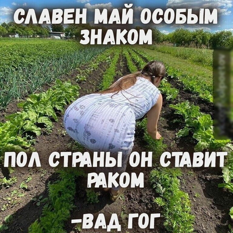 сддвнмдйосовь__іщ дот ЗНАКОМ ПОЛ СТРАНЫ ОН стАВИТ РАКом ао ВАД ГОГ