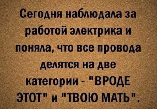 сегодня наблюдала за работой электрика и д понят что все провода делятся на две категории ВРОАЕ ЛОТ и ТВОЮМАТЬ