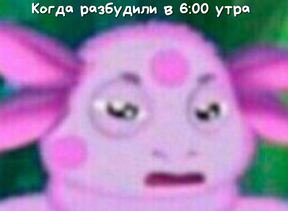 Когда разбудили в 600 утра