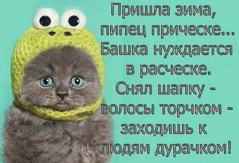 Прищда зикмга пиц причк Бащка нуждаётаэ расческа Сньяит Шапку ВЛСЫ тгрчпМ защщищь к адюдьгаМ дурачиюми