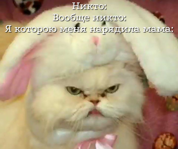 ды _г мг