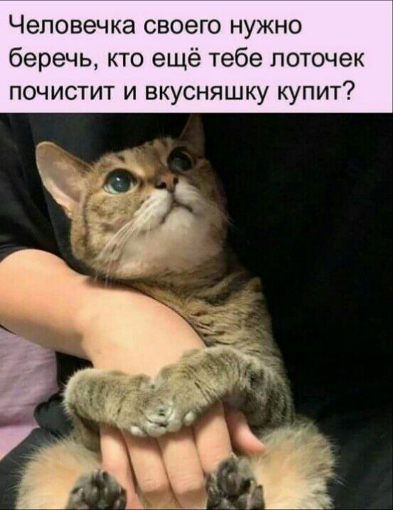Чеповечка своего нужно беречь кто ещё тебе поточек почистит и вкусняшку купит