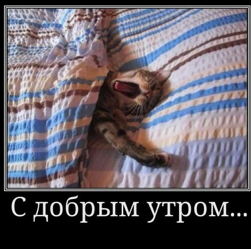 С добрым утром