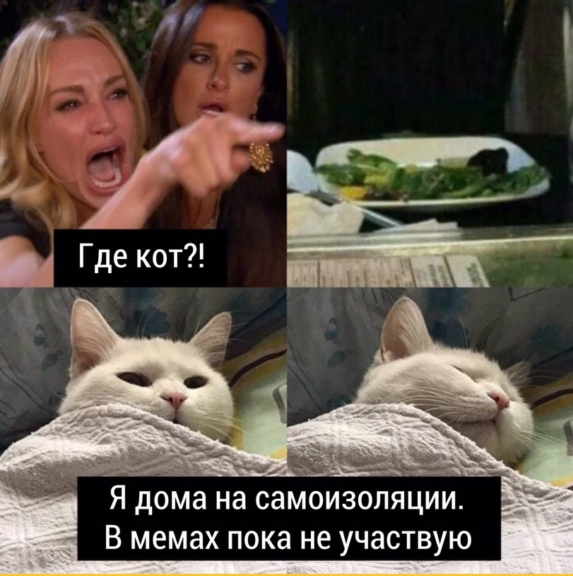 Я дома на самоизоляции В мемах пока не участвую