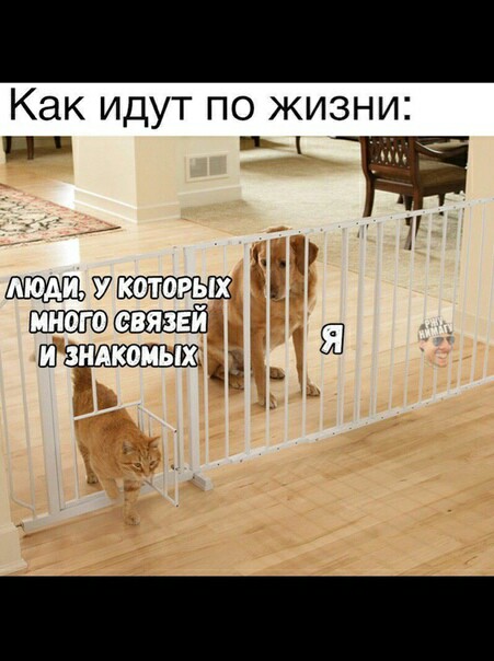 КЗК ИДУТ ПО ЖИЗНИ Ё ЧУ Хин ці