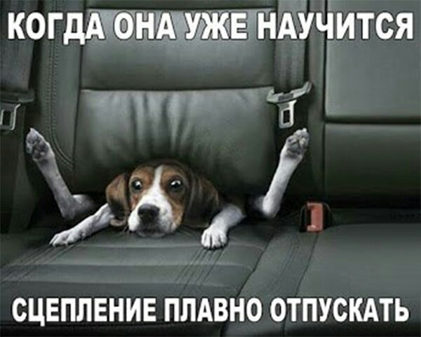 когддхеіщуждч ЕЖЕИИТСЯ 3 С СЦЕПЛЕНИЕ ПЛАВНО ОТПУСКАТЬ