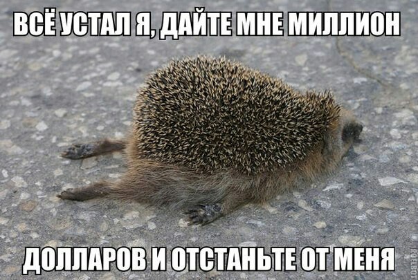 МШШШБЕШЬ