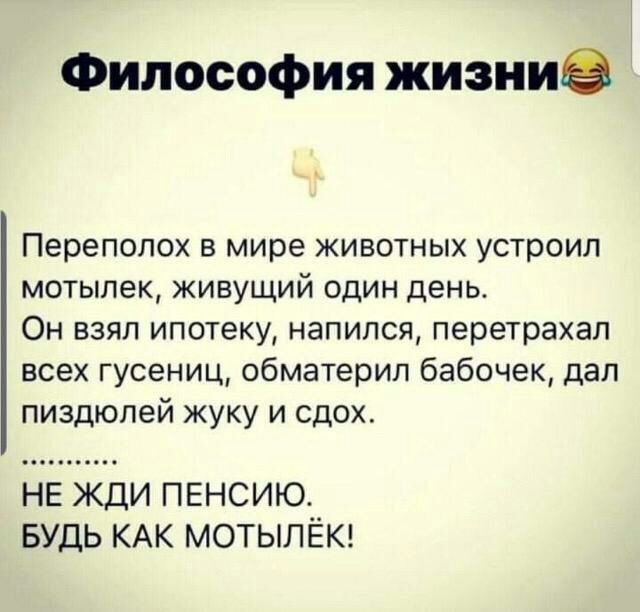 Философия жизниэ Переполох в мире животных устроил мотылек живущий один день Он взял ипотеку напился перетрахал всех гусениц обматерил бабочек дал пиздюлей жуку и сдох НЕ ЖДИ ПЕНСИЮ БУДЬ КАК МОТЫЛЁК